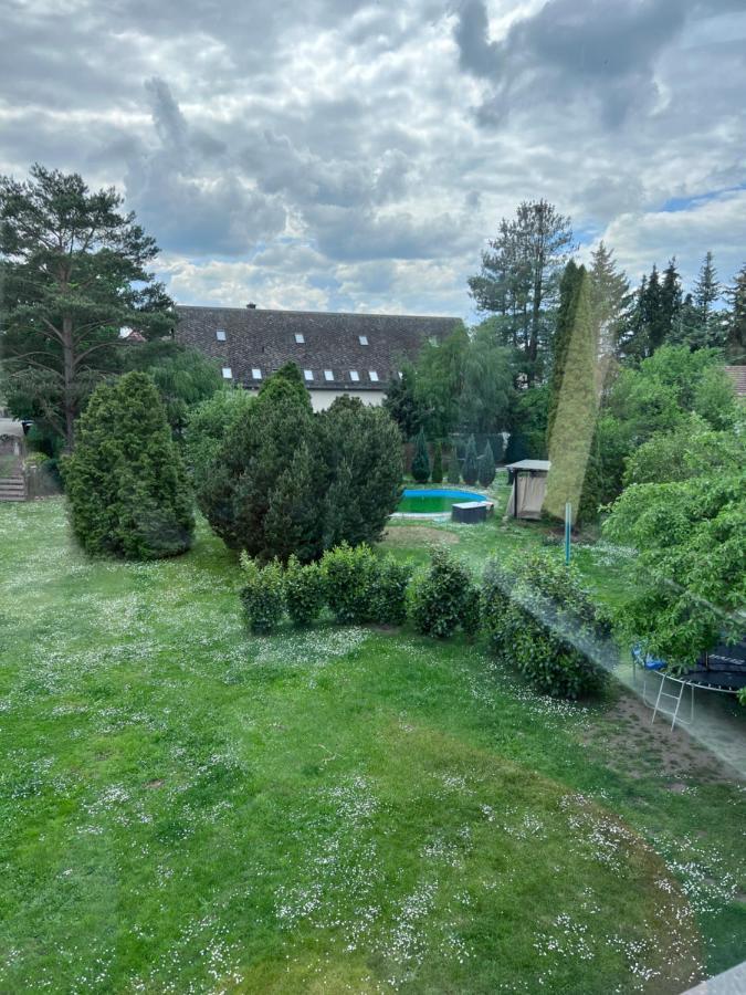 Ferienwohnung Bella In Heidenau Bei Dresden Exteriör bild